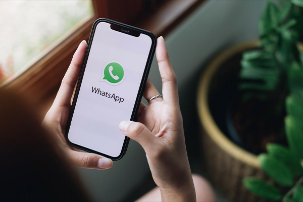 whatsapp business api